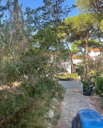 Appartamento Il Boschetto