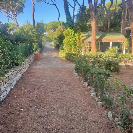 Il Boschetto Appartamento