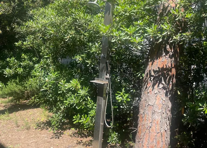 Il Boschetto Apartment *