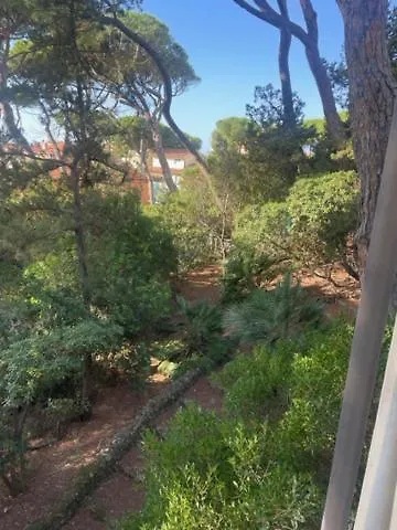 Il Boschetto Apartment