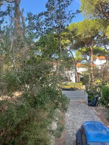 Apartment Il Boschetto